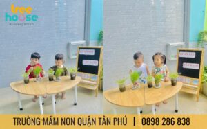 trường mầm non Tree House quận Tân Phú