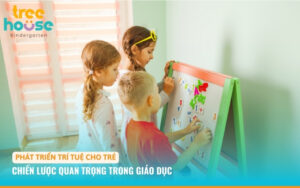 Phát Triển Trí Tuệ Cho Trẻ